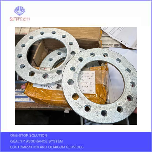 Cast Iron Disks for barbell
